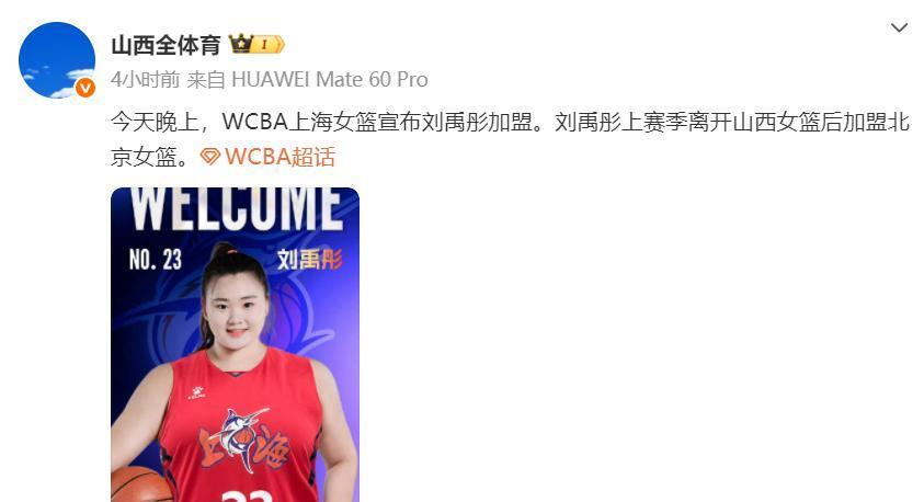 衡的内线球 衡的内线球